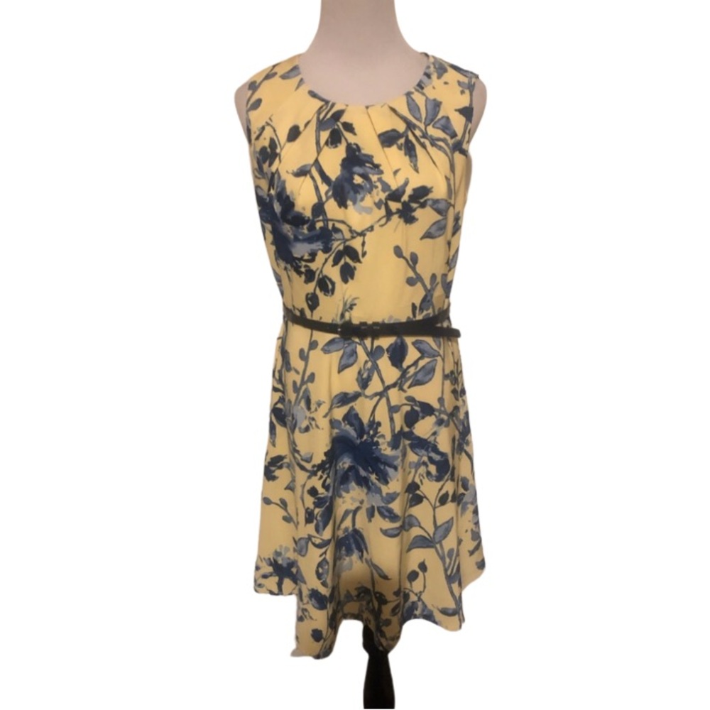👇🏻$Reduced to lowest price. Beautiful princess style dress w/pockets 😍